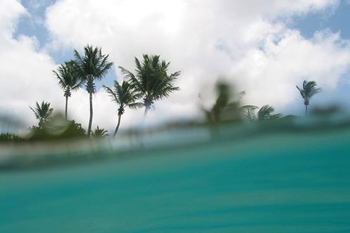 OFF THE SHORES OF ST. JOHN'S ISLAND IN THE U.S. VIRGIN ISLANDS. IN MY OPINION, THE BEST SNORKELING IN THE WORLD.