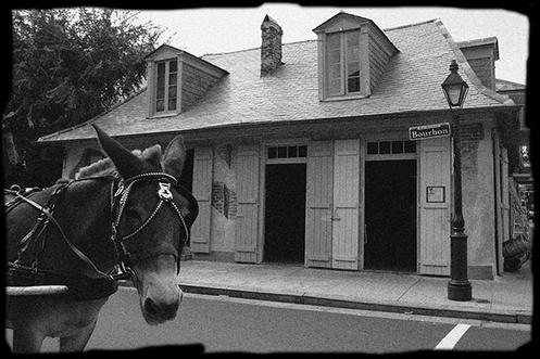 THIS WELL WORN TOURIST DESTINATION AND BAR HAS BEEN A FRENCH QUARTER STAPLE SINCE THE 1700'S