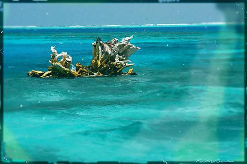 Off the Coast of Palau