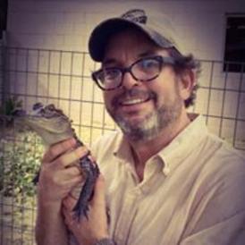 Man carrying a mini crocodile